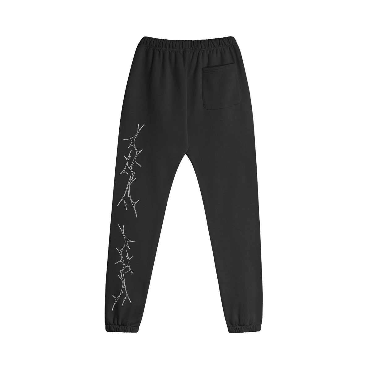 0-YB2-Back Side